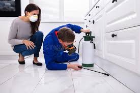 Best Residential Pest Control  in Red Chute, LA